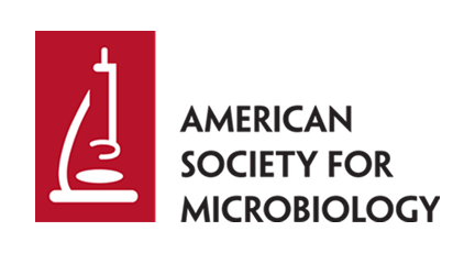 AMERICAN-logo